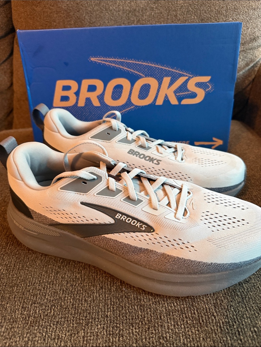 Brooks Beast GTS 26